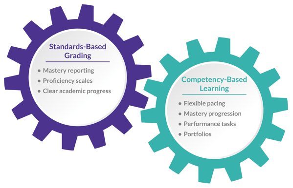 Image-Blog-SBG-and-CBG-Cogs